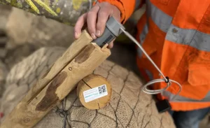 Bodemvochtsensor met boompaal in kluit