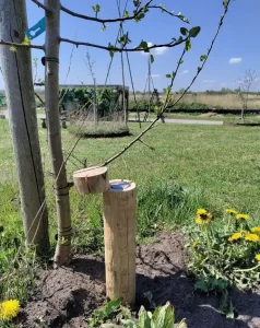 Bodemvochtsensor in boompaal