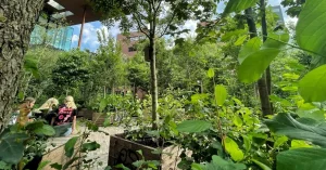 Bodemvochtsensoren-Bosk Leeuwarden