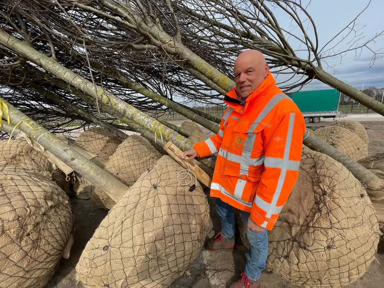 Bodemvochtsensor met boompaal
